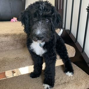 Meet your Posher, Heather